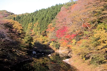 花園渓谷の風景