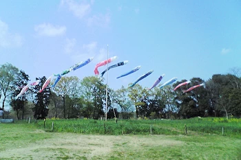 ネーブルパークの風景