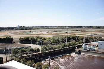 JRA美浦トレーニングセンターの風景