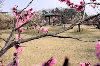四季の里公園の風景