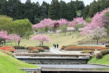 静峰ふるさと公園の風景