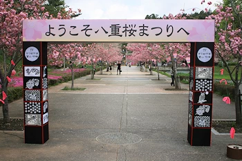 静峰ふるさと公園の風景