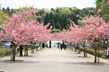 静峰ふるさと公園の風景