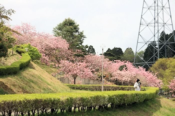 静峰ふるさと公園の風景