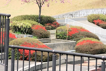 静峰ふるさと公園の風景