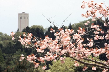 静峰ふるさと公園の風景