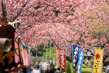 静峰ふるさと公園の風景