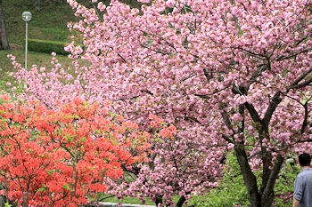 静峰ふるさと公園の風景