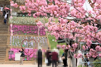静峰ふるさと公園の風景