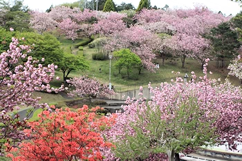 静峰ふるさと公園の風景