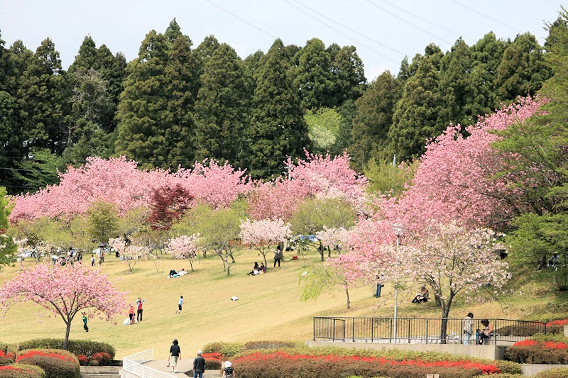 静峰ふるさと公園の風景