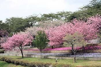静峰ふるさと公園の風景