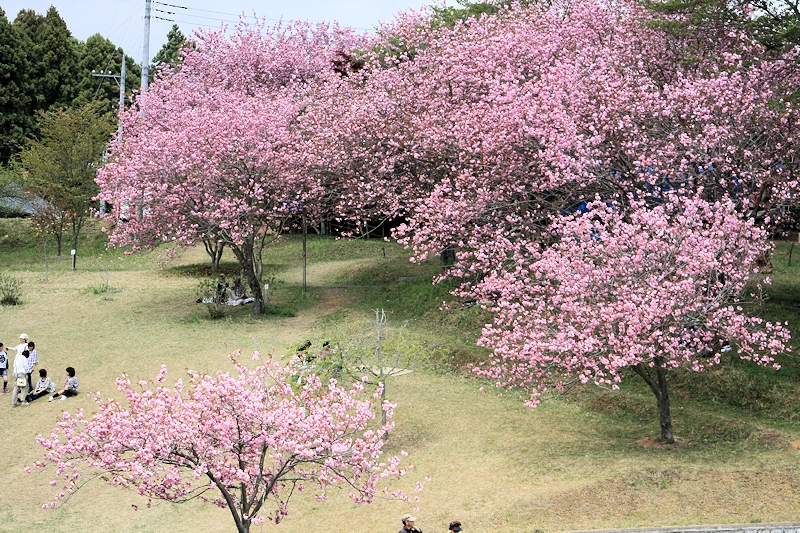 静峰ふるさと公園の風景