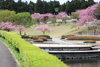 静峰ふるさと公園の風景