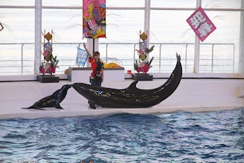 大洗水族館の風景