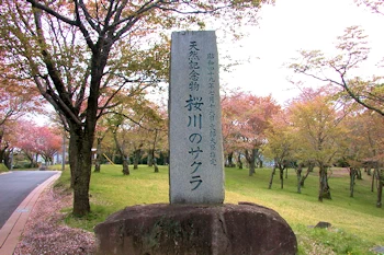 磯部桜川公園の風景