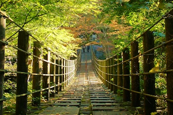 花貫渓谷の風景