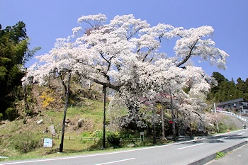 松岩寺の風景