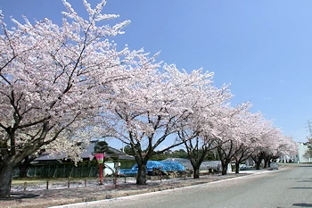 阿漕ヶ浦公園の風景