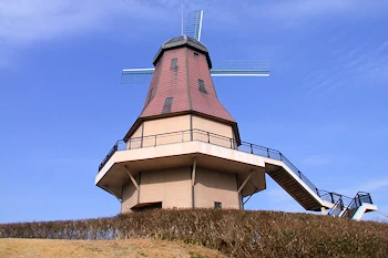 霞ヶ浦総合公園の風景