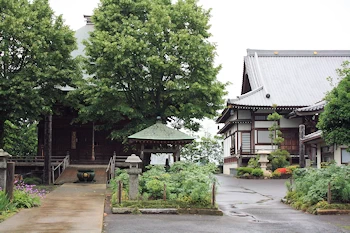 新長谷寺の風景