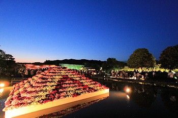 あしかがフラワーパークの画像