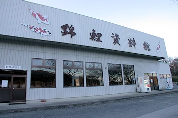 錦鯉資料館の画像
