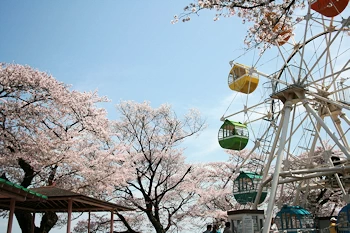 千手山公園の画像
