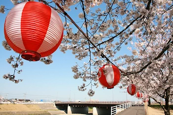 東雲公園の画像