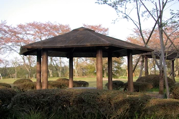 城山公園の画像