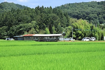 そば処ゆりがねのやなの画像