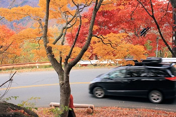 日塩もみじラインの画像