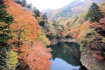 塩原渓谷の画像