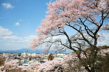 龍城公園の画像