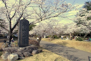 城山公園の画像