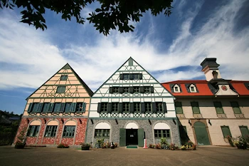 グリムの森の画像