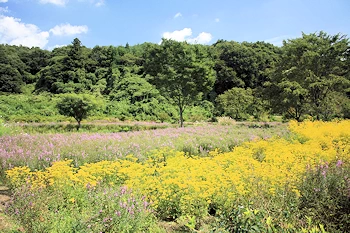 花之江の郷の画像