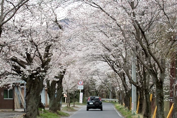大平県立自然公園の風景