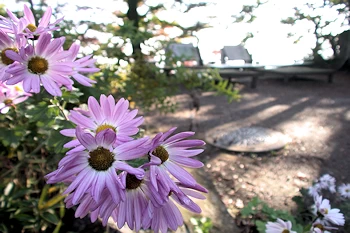 大平県立自然公園の風景