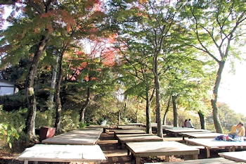 大平県立自然公園の風景