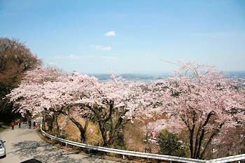 大平県立自然公園の風景