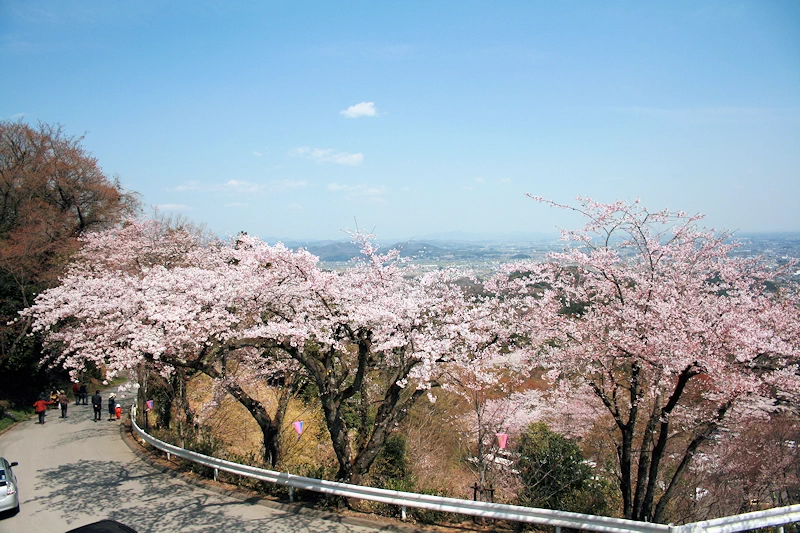 大平県立自然公園の風景