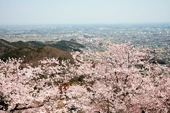 太平山県立自然公園の画像