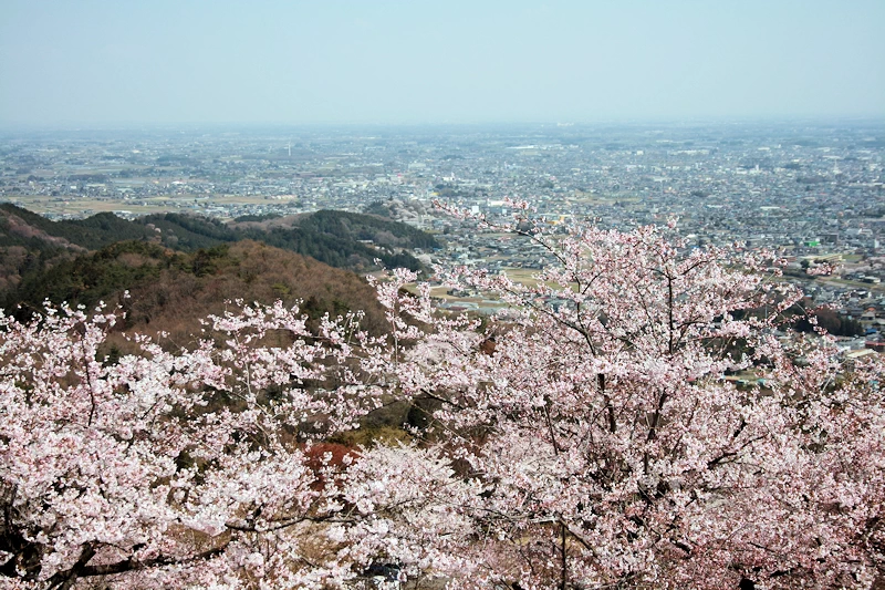 大平県立自然公園の風景