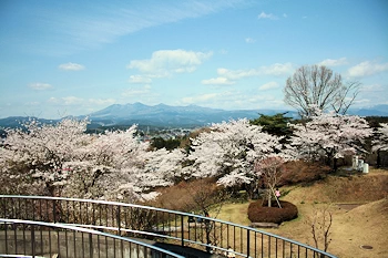 長峰公園の画像