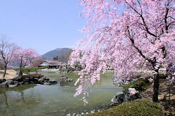 桜山公園の風景