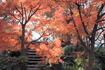 桜山公園の風景