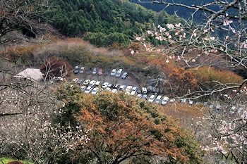 桜山公園の風景