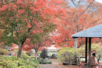 桜山公園の風景