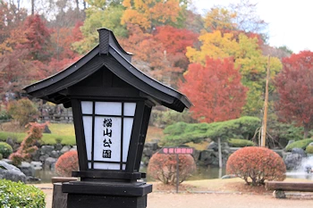 桜山公園の風景